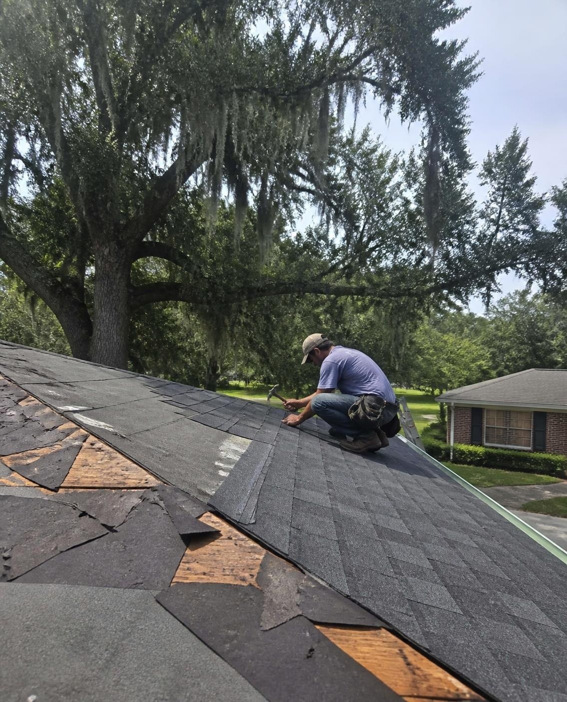 Roofer replacing worn shingles on a brick ranch home shaded by a live oak with Spanish moss