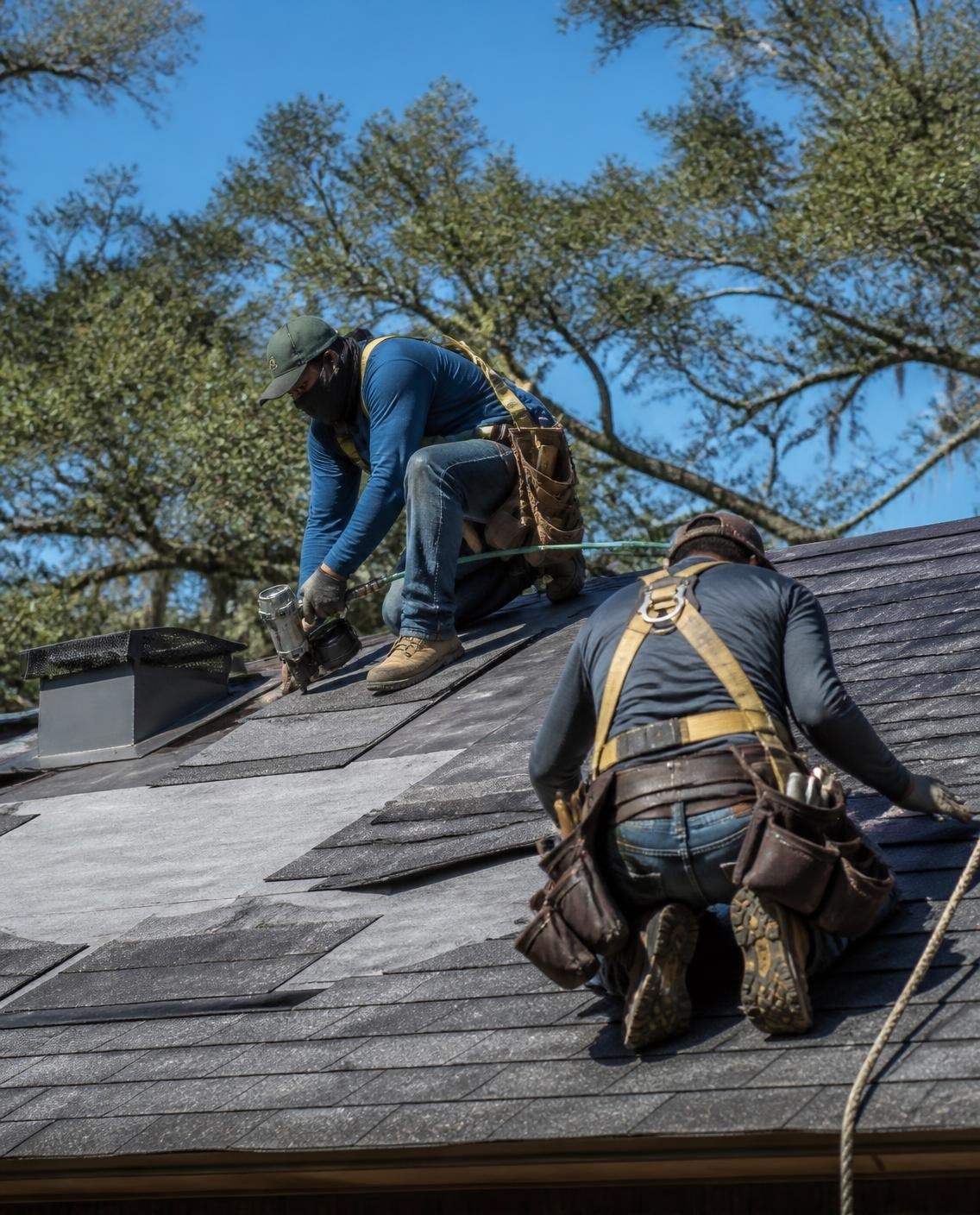 Roofers installing new asphalt shingles under live oak trees